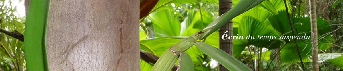 bandeau-sejours Bandeau présentation