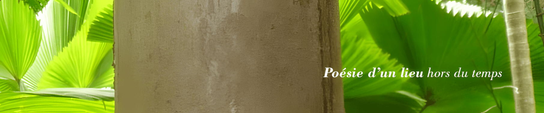 bandeau-HM Bandeau présentation